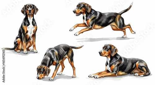 Watercolor dog illustration “Gunner” pet portrait isolated on white background