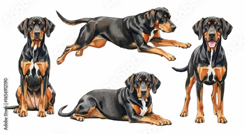 Watercolor dog illustration “Gunner” pet portrait isolated on white background