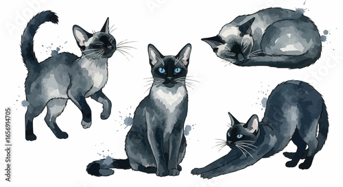Watercolor cat illustration “Luna” pet portrait isolated on white background