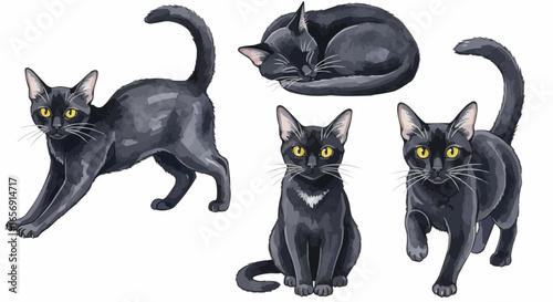 Watercolor cat illustration “Luna” pet portrait isolated on white background