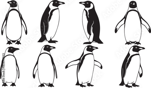Eight black and white silhouette illustrations of penguins in various poses bird animal