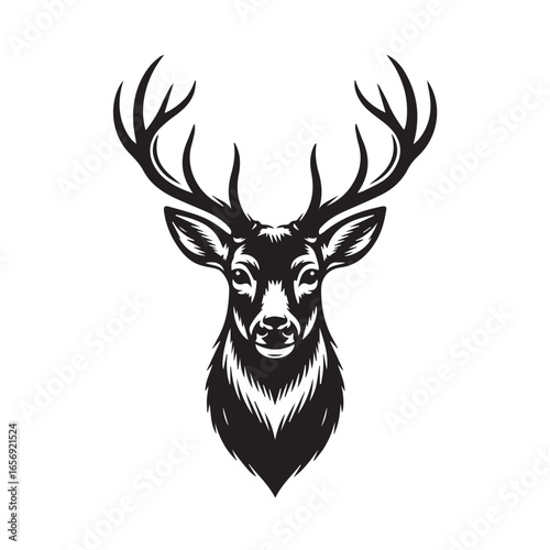Deer Head with Antlers Front View