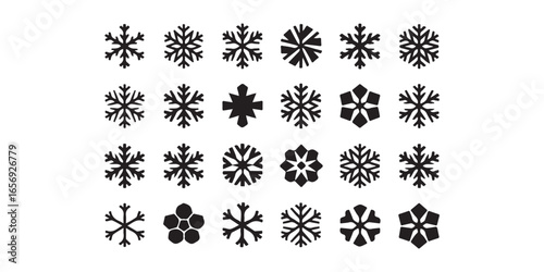 A collection of twenty four unique black snowflake designs arranged in a rectangular grid pattern