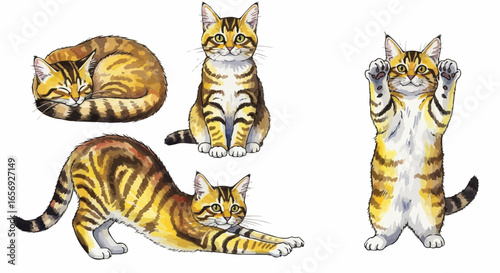 Watercolor cat illustration “Willow” pet portrait isolated on white background