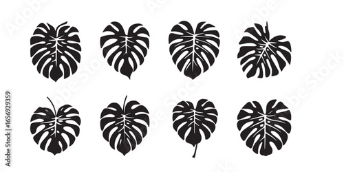 Eight monstera leaf silhouettes arranged in two rows on a plain white background graphic design