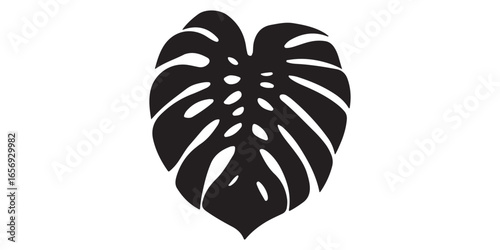 Isolated black and white monstera leaf silhouette with fenestrations on a white background design element