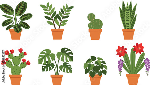 Flat vector set of potted indoor plants, flowering cacti, and tropical greenery. Ideal for botanical design, nature art, and home decor.