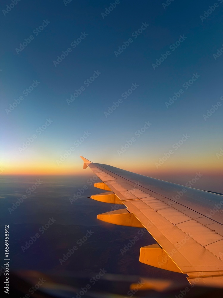 Obraz premium airplane in the sky