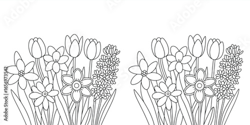 Two bunches of flowers including tulips daffodils and hyacinths in a black and white outline drawing style