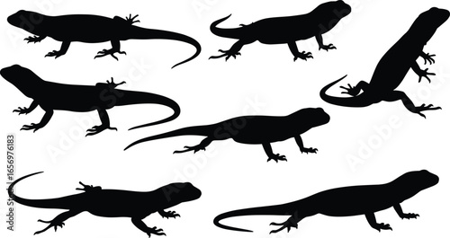 Lizard silhouette set, reptile shapes in various poses, black vector illustration, iguana and gecko outline, isolated wildlife animal graphic design