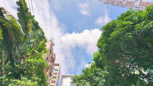 Looking Up at Tall Buildings and Trees on a Sunny Day
