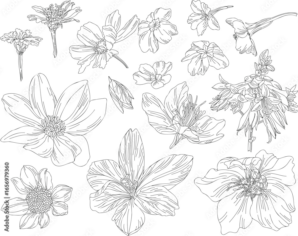 Fototapeta premium Set of flowers and leaves arranged on a transparent background in vintage style