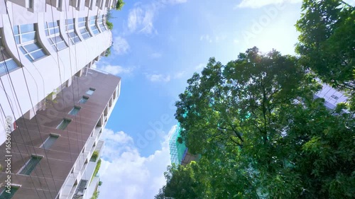 Worm 's-Eye View of a Sunny City Street with Tall Buildings and Lush Trees