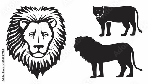 Illustration of a lion head with a mane and two lion silhouettes in black and white colors