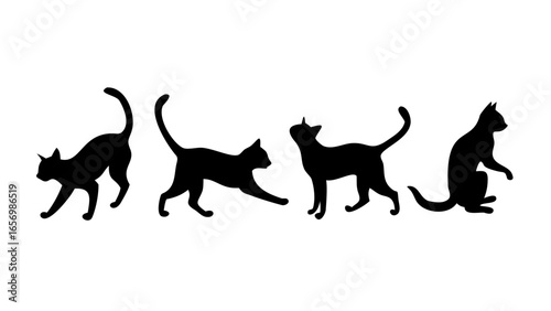 Four black cat silhouettes in various poses on a white background showcasing feline movement and form