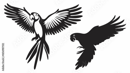 Two parrots depicted in silhouette one with wings spread and one with wings tucked in flight posture