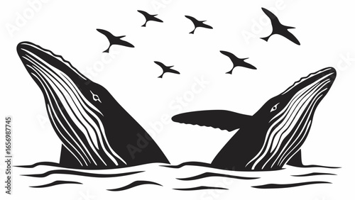 Two whales breaching the water with several birds flying overhead in a black and white illustration