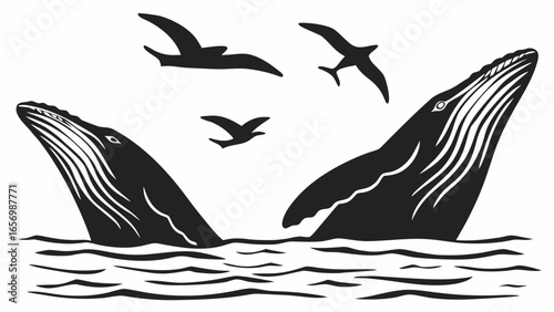 Two whales breaching the ocean surface with three birds flying above in a monochrome illustration