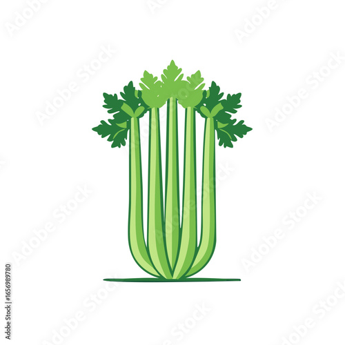A bunch of crunchy light green celery sticks with leaves in a centered composition, vector illustration on plain background