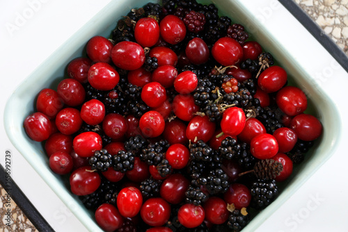 Mixed wild fruit blackberry and dogwood