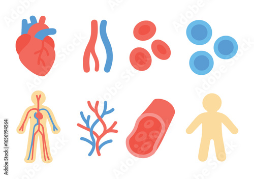 Child's Circulatory Icons. Flat vector mini-illustrations blood circulation in colors children's illustrations