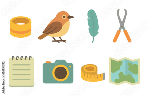 Bird Ringing Icons. Flat vector mini-illustrations bird ringing in colors children's illustrations: paw ring,