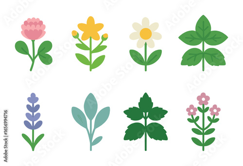 Colorful Meadow Herb Icons. Flat vector mini-illustrations wild meadow herbs in colors children's