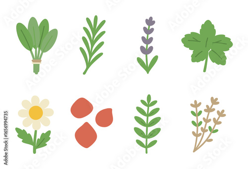 Herbal Mini Icons. Flat vector mini-illustrations ritual herbs in colors children's illustrations: sage bunch,