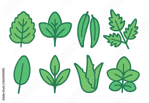 Medicinal Leaf Icons. Flat vector mini-illustrations medicinal leaves in colors children's illustrations: mint
