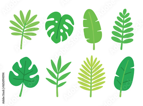 Tropical Leaf Icons. Flat vector mini-illustrations tropical leaves in colors children's illustrations: palm