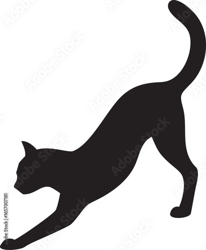 Black cat stretching its body isolated on a white background