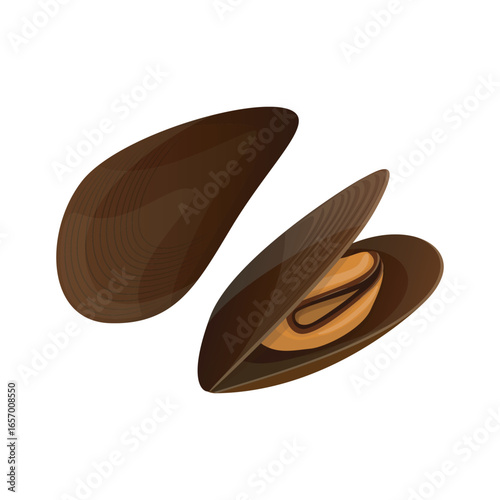 Seafood vector illustration of mussels in flat detailed style. Isolated design of marine food ingredient for menu, advertisement designs 