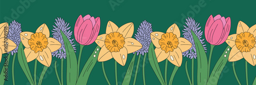 Illustration of daffodils tulips and hyacinths arranged in a row against a dark green background
