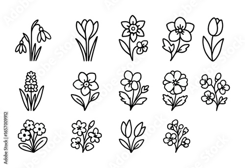 Spring Flower Icons. Outline icon set of early blooming flowers: snowdrops, crocuses, daffodils, tulips,