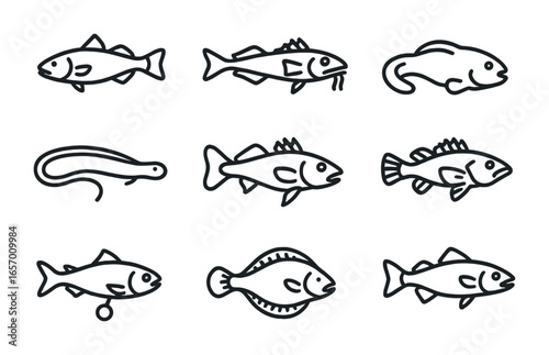 Polar Fish Icons. Outline icon set of fish species in polar zones: Arctic cod, icefish, dragonfish, snailfish,