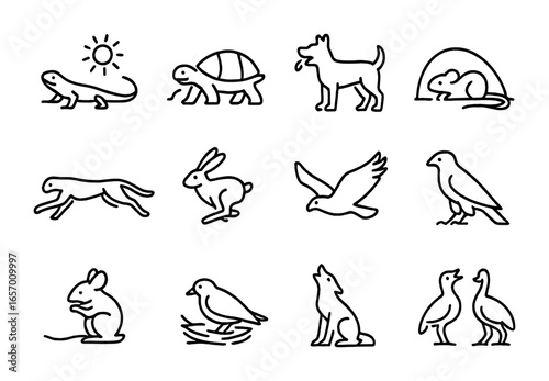 Desert Animals Icon Set. Outline icon set of desert animal behaviors: basking, digging, panting, hiding,