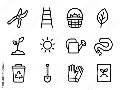 Fruit Tree Pruning Icons. Outline icon set of pruning techniques for fruit trees: pruning shears, ladder,