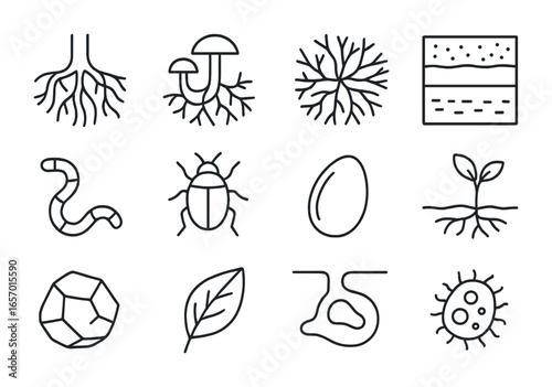 Underground Ecosystem Icons. Outline icon set of roots and mycorrhizal networks: tree roots, fungi, hyphae,