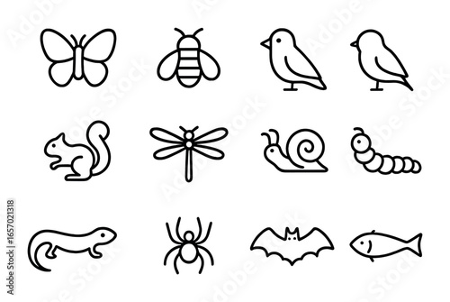 Bamboo Biodiversity Icons. Outline icon set of bamboo biodiversity: butterfly, bee, frog, bird, squirrel,