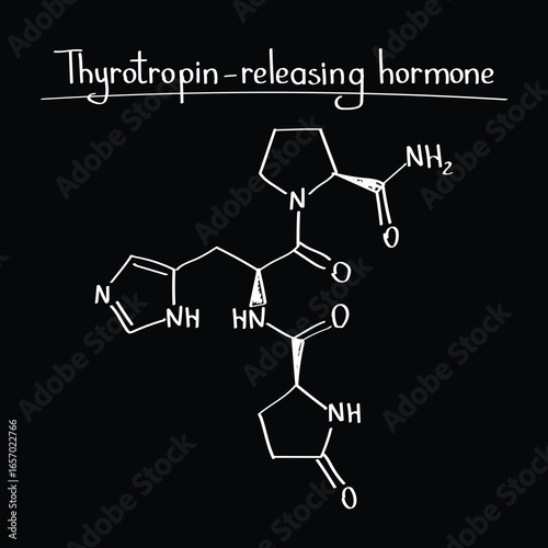 Thyrotropin Releasing Hormone TRH Molecular Structure Educational Chemistry Diagram for Endocrinology, Medical Textbooks and Science Presentations
