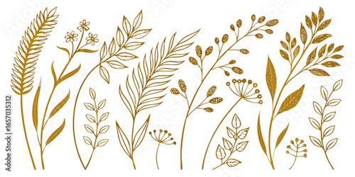 golden line art botanical elements isolated on white background.