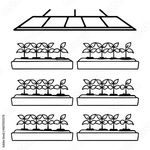 Overhead Grow Light Illuminating Rows of Seedlings in Trays Isometric Line Art plants growing