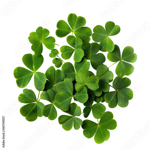 and keyword list based on the image, adhering to your specifications.. Clovers in a Pile green leaves, three-leafed plants arranged on a plain surface