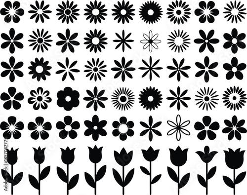 50 Black and White Flower Silhouettes Vector Illustrations