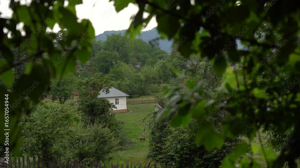 A rural scene, a house among the trees A rural scene, a house among the trees