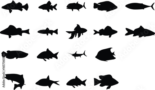 Fish silhouettes collection, vector, black, aquatic, sea life, ocean, freshwater, marine, nature, fishing, underwater, simple, design, animals, aquatic species, icon, clipart, illustration, isolated