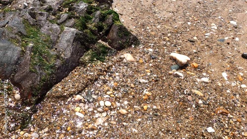 A small stream of clear water winding across the sandy beach at low tide.