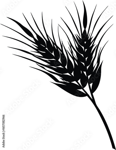 Barley Stalk Silhouette