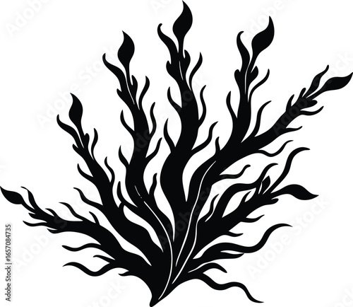 Seaweed Flow Silhouette