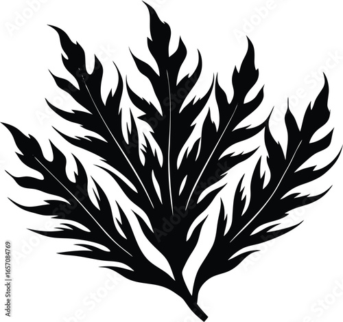 Seaweed Leaf Silhouette